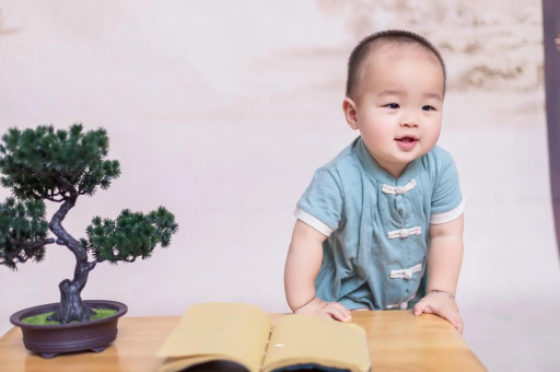 深圳可爱的企鹅宝宝